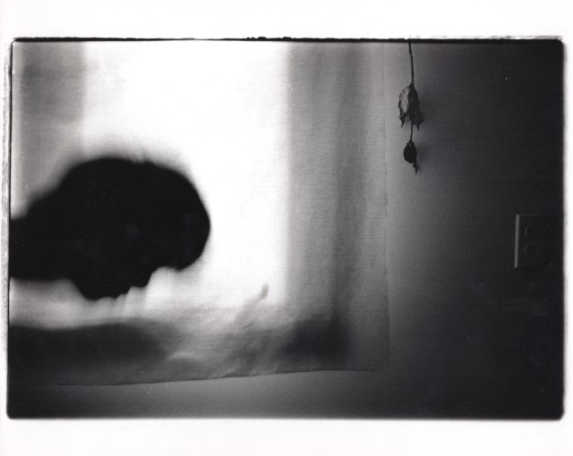 room of sleep