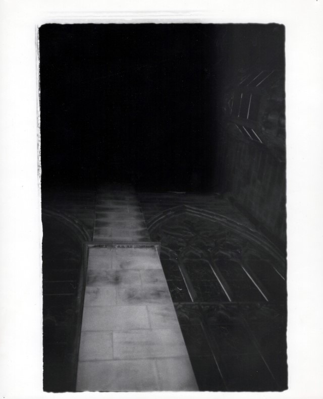 void | vicenza, italy