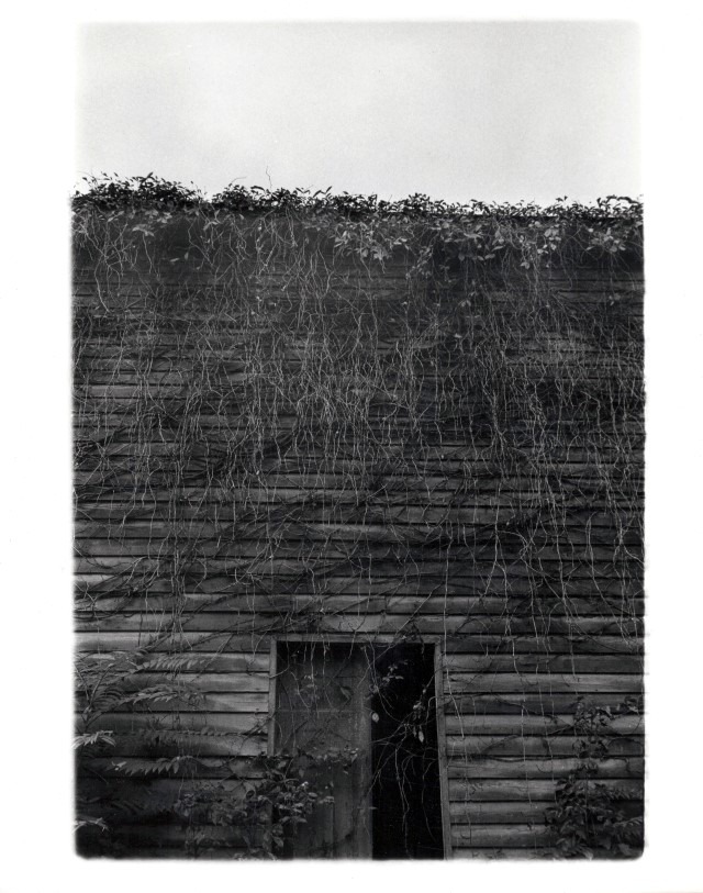 appalachian barn | charlotteville, va