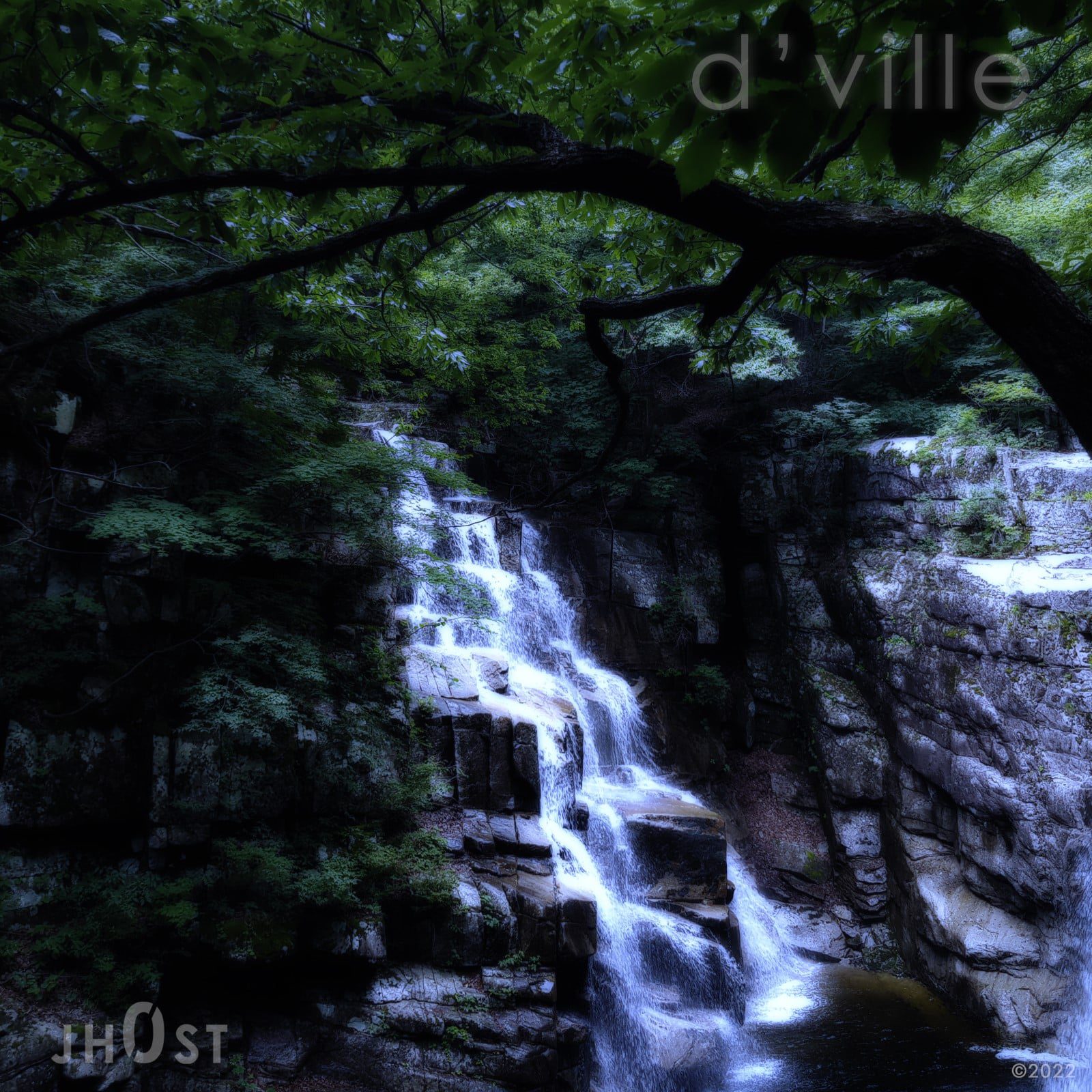 d’ville