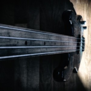 fender p-bass: defanged